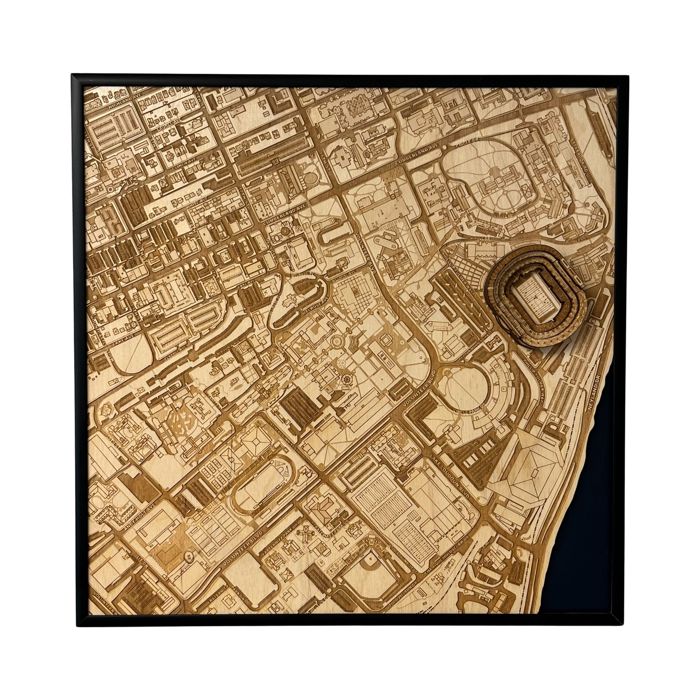 Knoxville, Tennessee Wall Art City Map (Neyland Stadium)