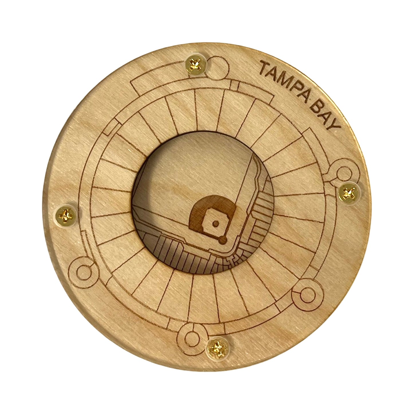 St. Petersburg, Florida Coaster Art (Tropicana Field)