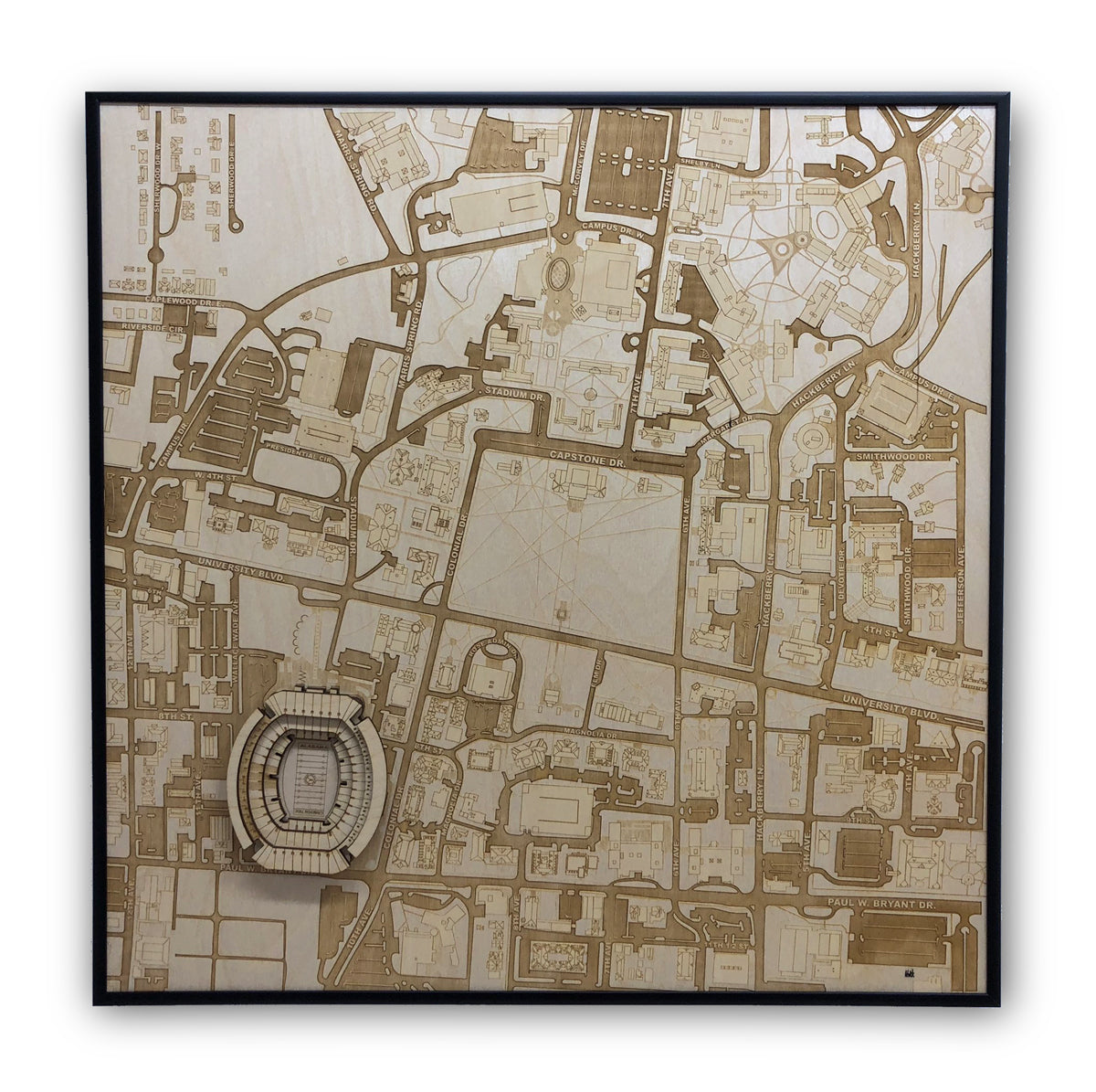 Tuscaloosa, Alabama Wall Art City Map (Bryant-Denny Stadium)