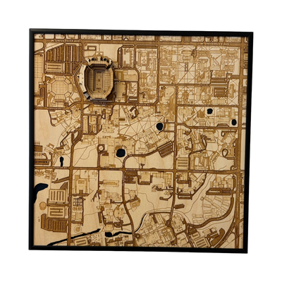 Gainesville, Florida Wall Art City Map (Ben Hill Griffin Stadium)