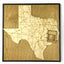Houston, Texas Wall Art State Map (Daikin Park)